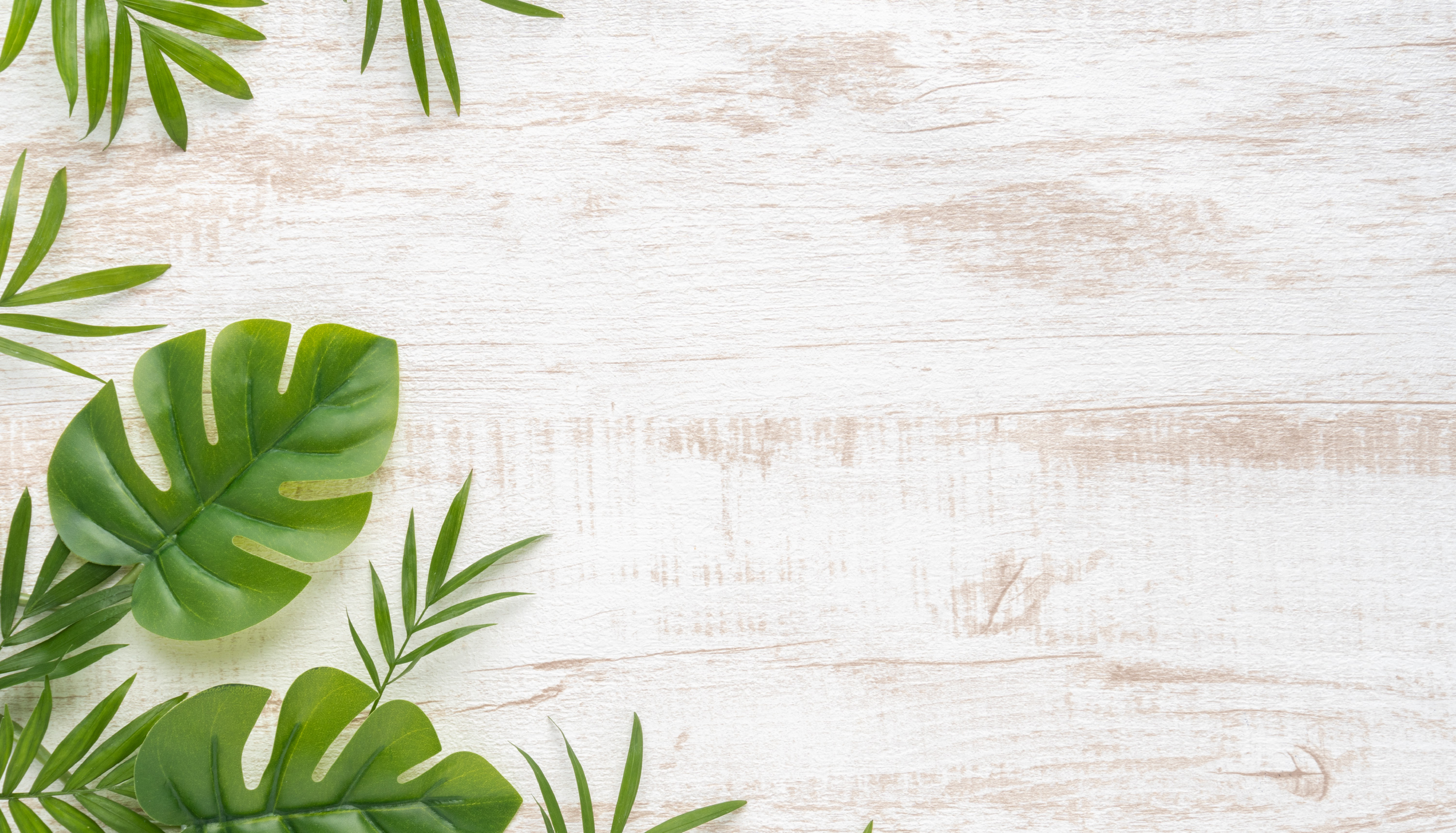 金のユーグレナ® ココロ・カラダ 元気スイッチON!