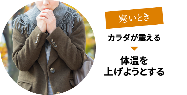 寒いとき：カラダが震える→体温を上げようとする
